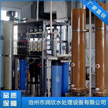 离子交换器选型 长沙固定床离子交换器批发 水离子交换器生产工厂