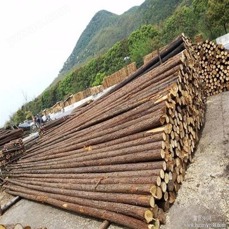 天津静海防汛木桩批发 杉木杆木桩 厂家批发定制