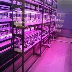 中农智造DX3208立体农业系统 植物水培系统 温室植物工厂