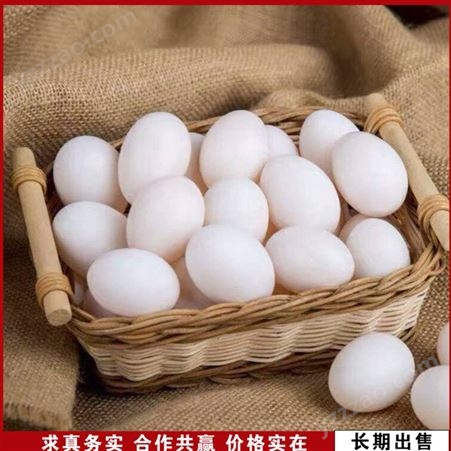 草鸽蛋农养 散养农家鸽蛋 30枚装鸽蛋 农家养殖