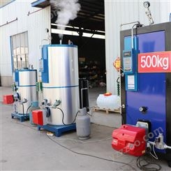 压力稳定燃气蒸汽发生器 0.2吨-1.3吨高温燃气蒸发器