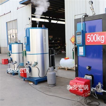 工厂直售各地蒸汽发生器 蒸鸭蛋燃油燃气蒸发器 泰安锅炉厂