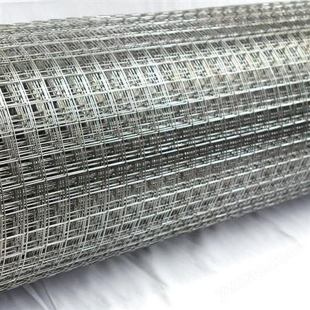 环冀丝网 镀锌改拔丝 优质不锈钢电焊网钢丝网 养殖防护