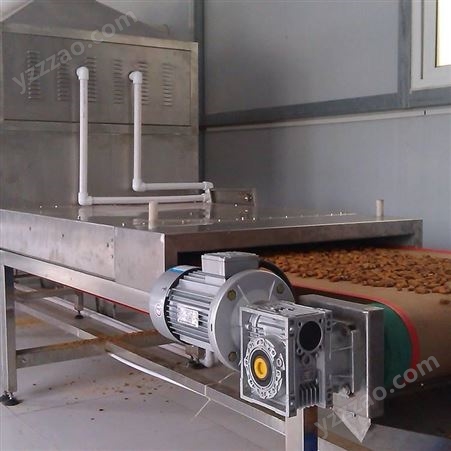 微波烘干设备特性 五谷杂粮熟化机 原味瓜子烘烤设备