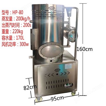 HP-80印染纺织用燃气蒸汽发生器 全自动天然气锅炉