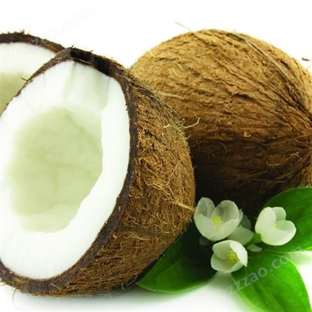 阳光椰子油食用椰子油 基础油手工皂原料甜点 椰子油