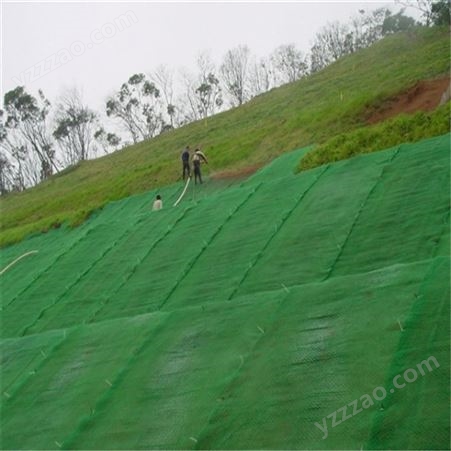 三维植被网植草边坡绿化施工 防止水土流失 四层土工网垫指标