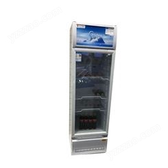 小型保鲜冷藏展示柜标准 双门展示柜冷藏立式保鲜柜
