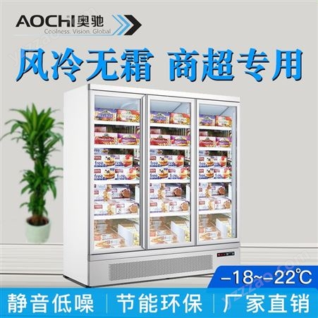 株洲商用冰柜 店冷藏柜