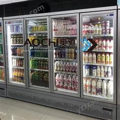 深圳冷冻柜 便利店超市冰柜