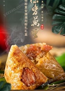 中粮时怡粽夏安康端阳粽礼礼盒-端午节日食品