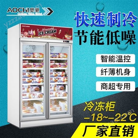 深圳冷冻柜 便利店超市冰柜