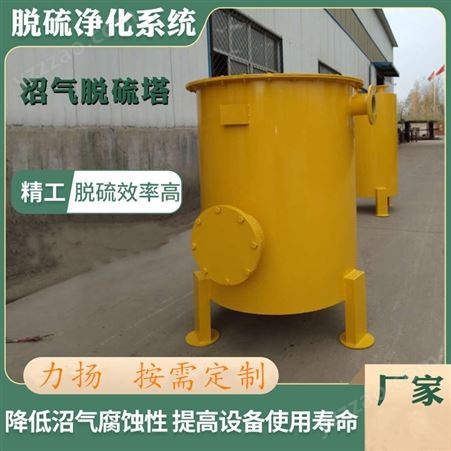 沼气脱硫罐设备 垃圾填埋场脱硫 原理及构造 支持定制