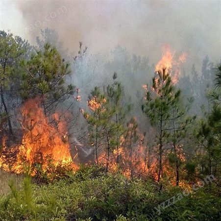 智慧森林防火监测预警解决方案盛为智联