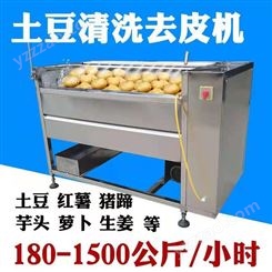 全自动土豆清洗机 创达 不锈钢毛辊清洗机 红薯番薯去皮清洗机