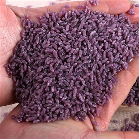 济南比睿特机械生产厂家 复合营养米生产线 营养米加工设备机械