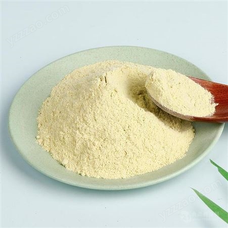 食品级膨化豌豆粉 批发供应散装白豌豆粉直销