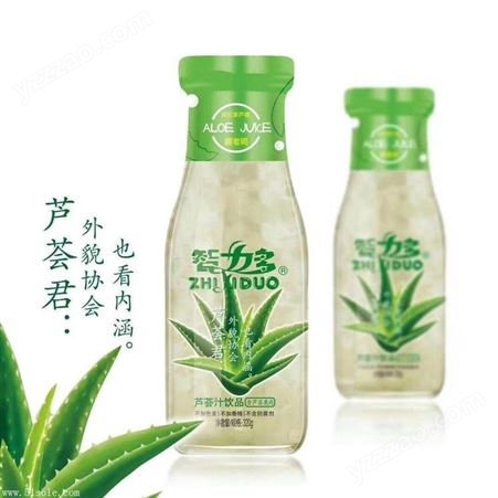 中山市智力多酸奶饮品优质320G瓶装老酸奶乳酸菌饮料代理