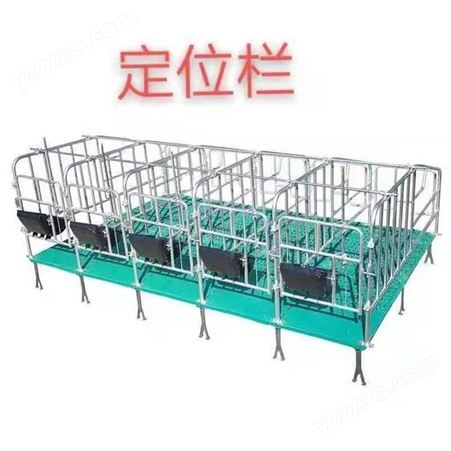 双谱养殖设备 母猪定位栏 猪用限位栏 复合板定位栏 小猪保育床