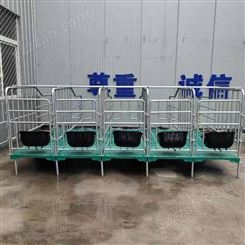 双谱养殖设备 热镀锌母猪产床 母猪 复合板定位栏 双体产保一体