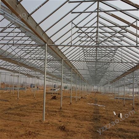 琴岛 新疆养殖大棚 钢架结构大棚