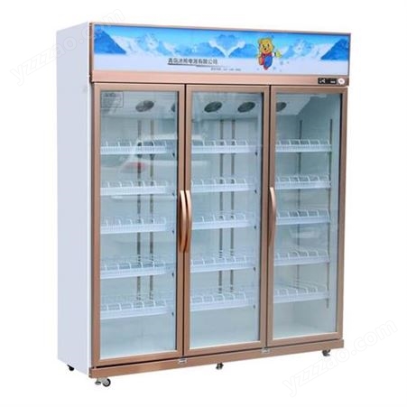 西安展示柜厂家 青岛冰熊电器 1280直冷展示柜 超大直冷空间 展示柜价格