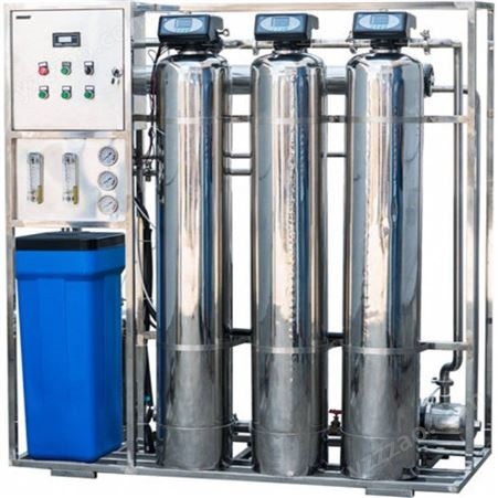 纯化水无菌纯化水系统 500L/H全自动二级反渗透纯化水设备制药用