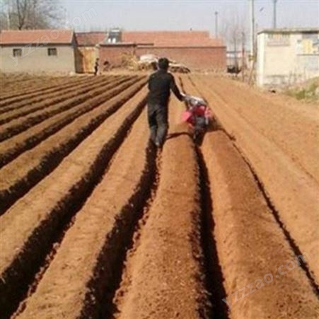 大葱开沟培土机 家用土豆培土覆土机 左右上土封沟机价格