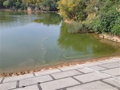 西安湖泊河道水体治理矿物水质净化剂
