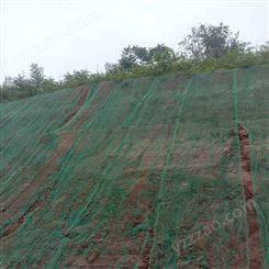 陕西边坡防护生态基材喷播绿化技术