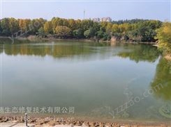 北京黑臭水体生态治理工程河道底泥固化剂