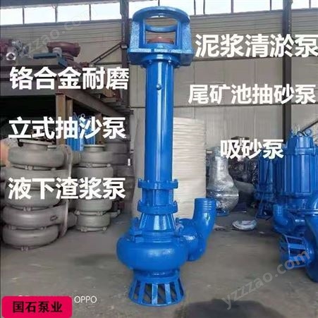 合金渣浆泵国石泵业生产 液下渣浆泵价格 质量保证