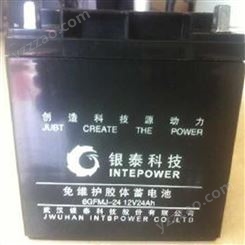 银泰蓄电池6GFM-24阀控式铅酸免维护UPS应急电源专用银泰12v24AH蓄电池