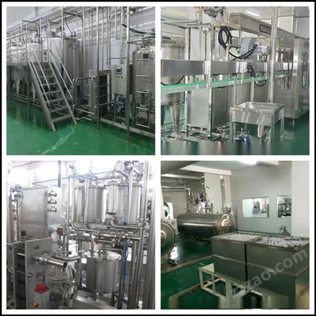 沙棘原汁整套生产设备 10吨/天枸杞果汁加工生产线 饮料机械设备