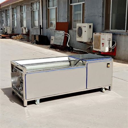 斯格数控毛辊果蔬清洗机 可用于土豆生蚝猪蹄去皮 SG-800型 厂家直供