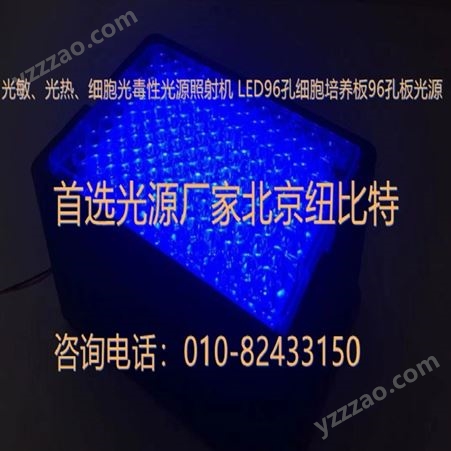 光敏、光热、细胞光毒性光源照射机 LED96孔细胞培养板96孔板光源 绿光led