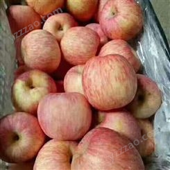 苹果批发 早熟苹果糖分高 红富士价格美丽 裕顺价格实惠
