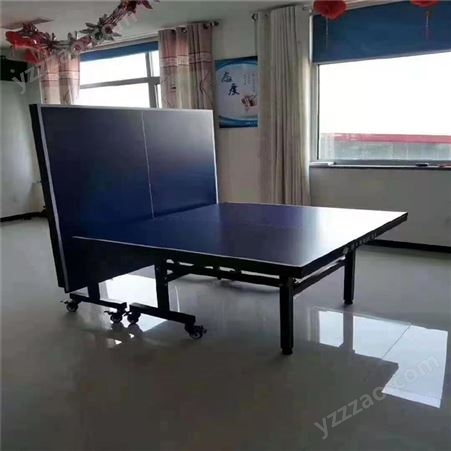 室内乒乓球台 乒乓球台价格 售后无忧