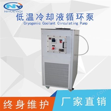 上海霓玥 DLSB-5/-20低温恒温槽