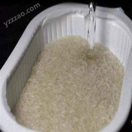 冲泡速食米饭设备 自热米饭生产线朗正直销