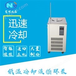 上海霓玥厂家制造DLSB-200L/-40°c低温冷却液循环泵 制冷泵 低温循环泵