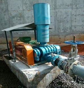 污水处理设备 反冲洗泵 常年生产 加工定制 安装简单