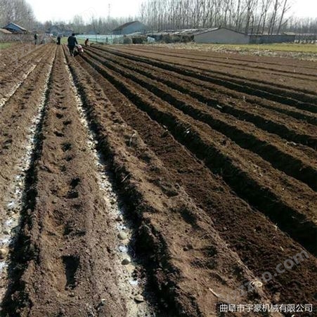土豆种植开沟机 农用田园管理机 果园开沟施肥机