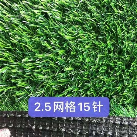 运动场人造草坪 郑州幼儿园人造草坪价格