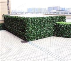 江苏绿色生态植物墙 仿真绿植墙设计