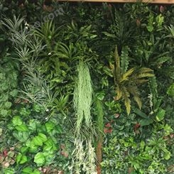 江苏植物墙施工 垂直绿化植物墙