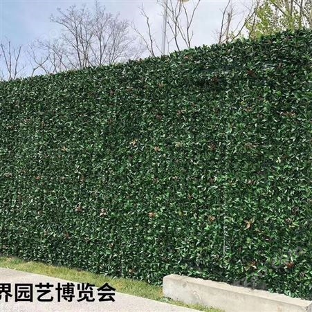 江苏绿色生态植物墙 仿真绿植墙设计