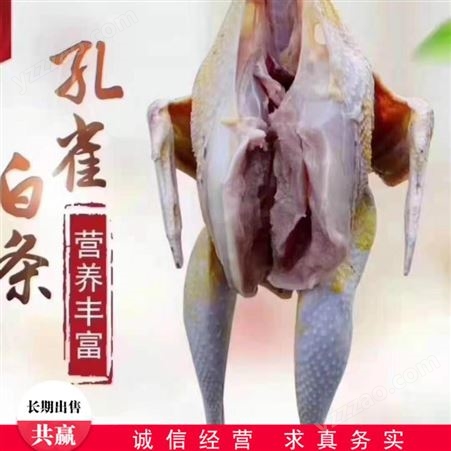商品孔雀肉 白孔雀肉 冷冻孔雀肉 出售价格