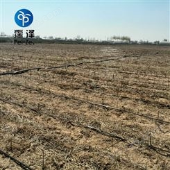 石家庄大田小麦铺设16滴水带灌溉