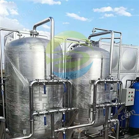 反渗透设备定制 双罐全不锈钢  去离子纯水设备 小区水处理设备